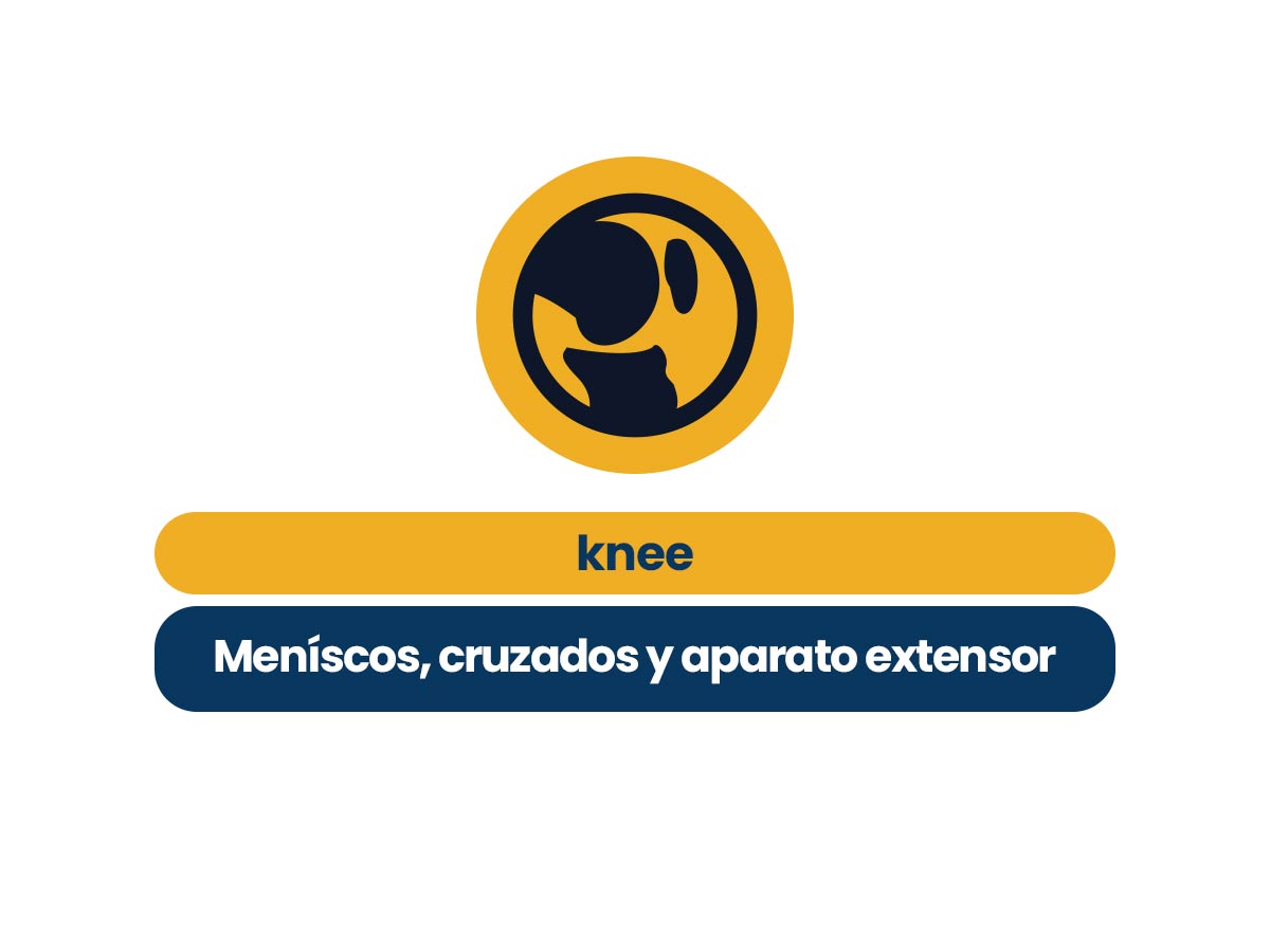 Knee Meniscos, Cruzados y Aparato Extensor